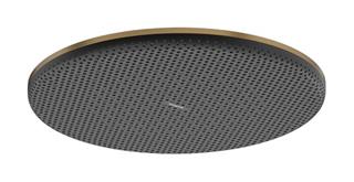 Tuš ruža 300 mm - HANSGROHE Raindance Alive S - bronca